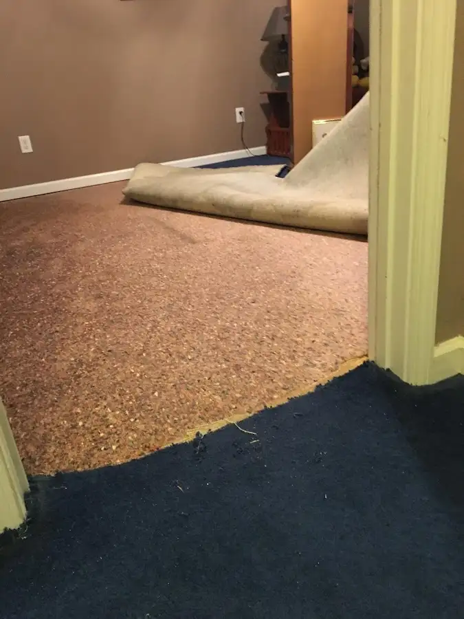 Carpet pad removal revealing water damage during Water Mitigation Services in Philipstown
