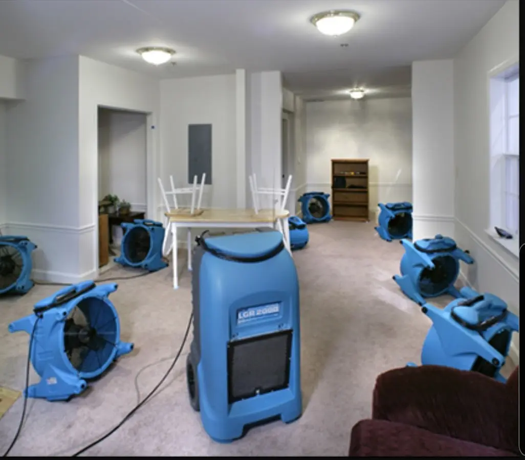 Air movers and dehumidifier setup for Water Extraction & Removal in Philipstown