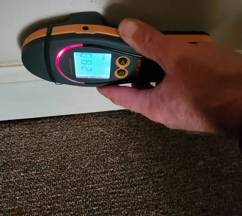 Moisture detection at baseboard during Mold Inspection & Testing in Philipstown